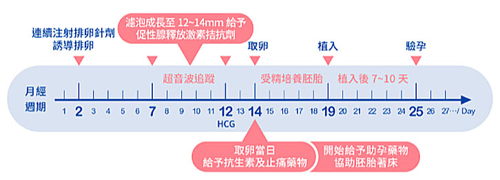 試管嬰兒,ivf